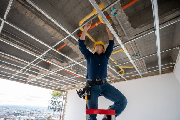Best Affordable Plumber Near Me  in Cabool, MO