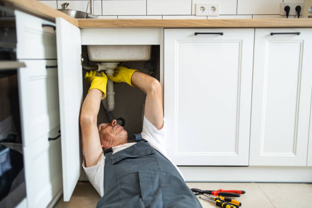 Best Plumbing Services Near Me  in Cabool, MO